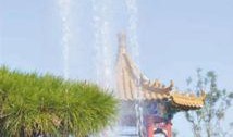 周口森林公园爆料视频最新,探秘神秘自然奇观，揭秘生态旅游新热点！